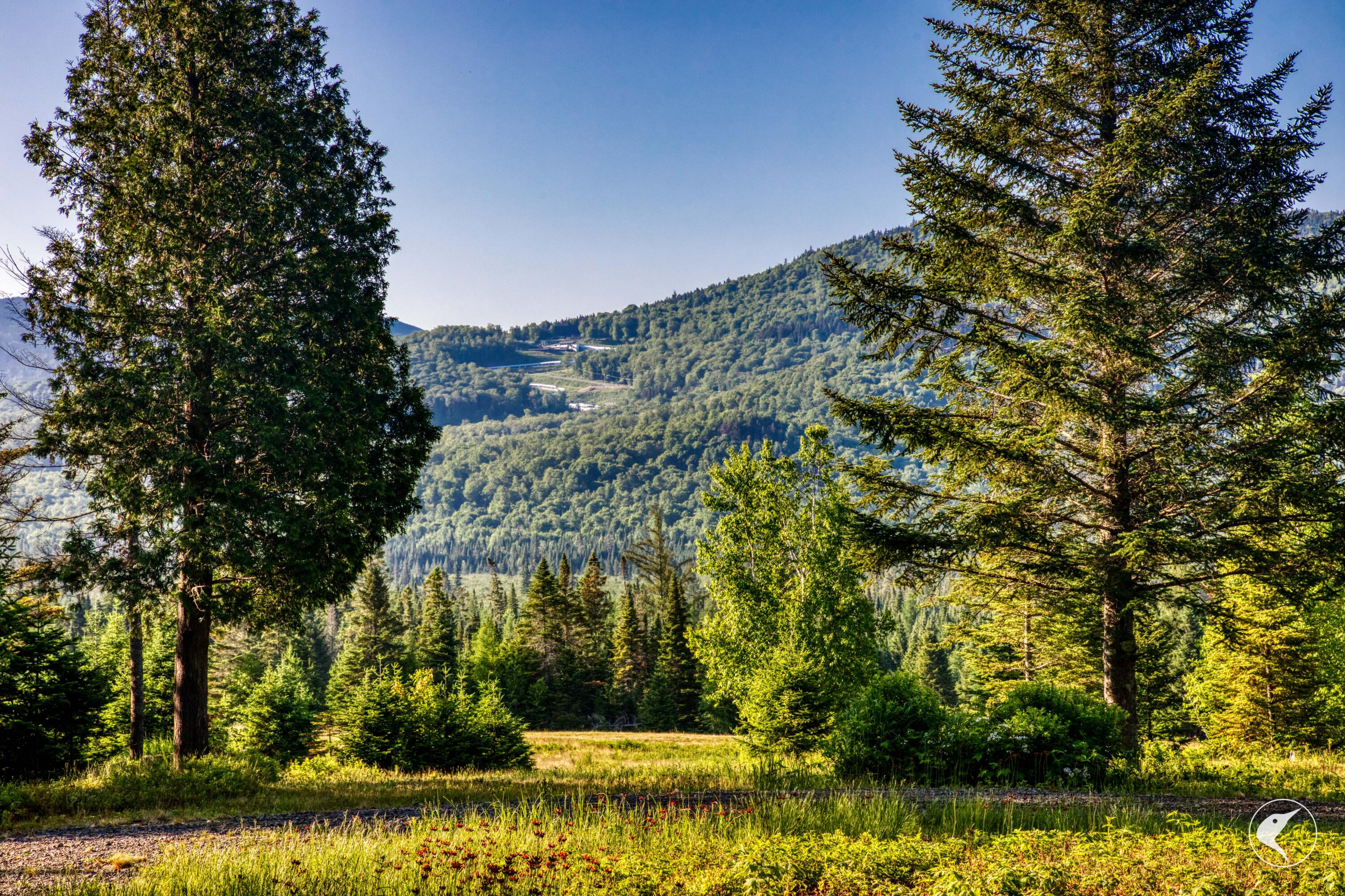 166 Far Horizon Drive Lake Placid NY 12946