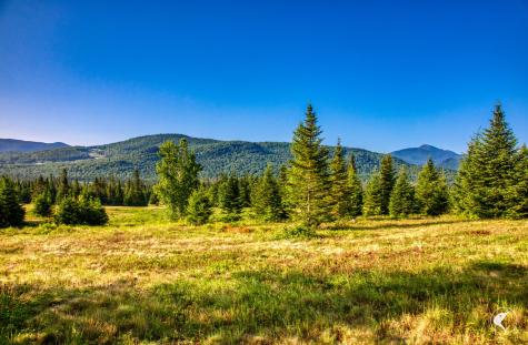 166 Far Horizon Drive Lake Placid NY 12946