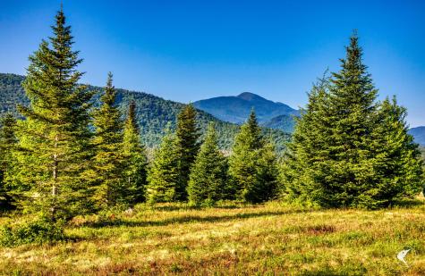 166 Far Horizon Drive Lake Placid NY 12946