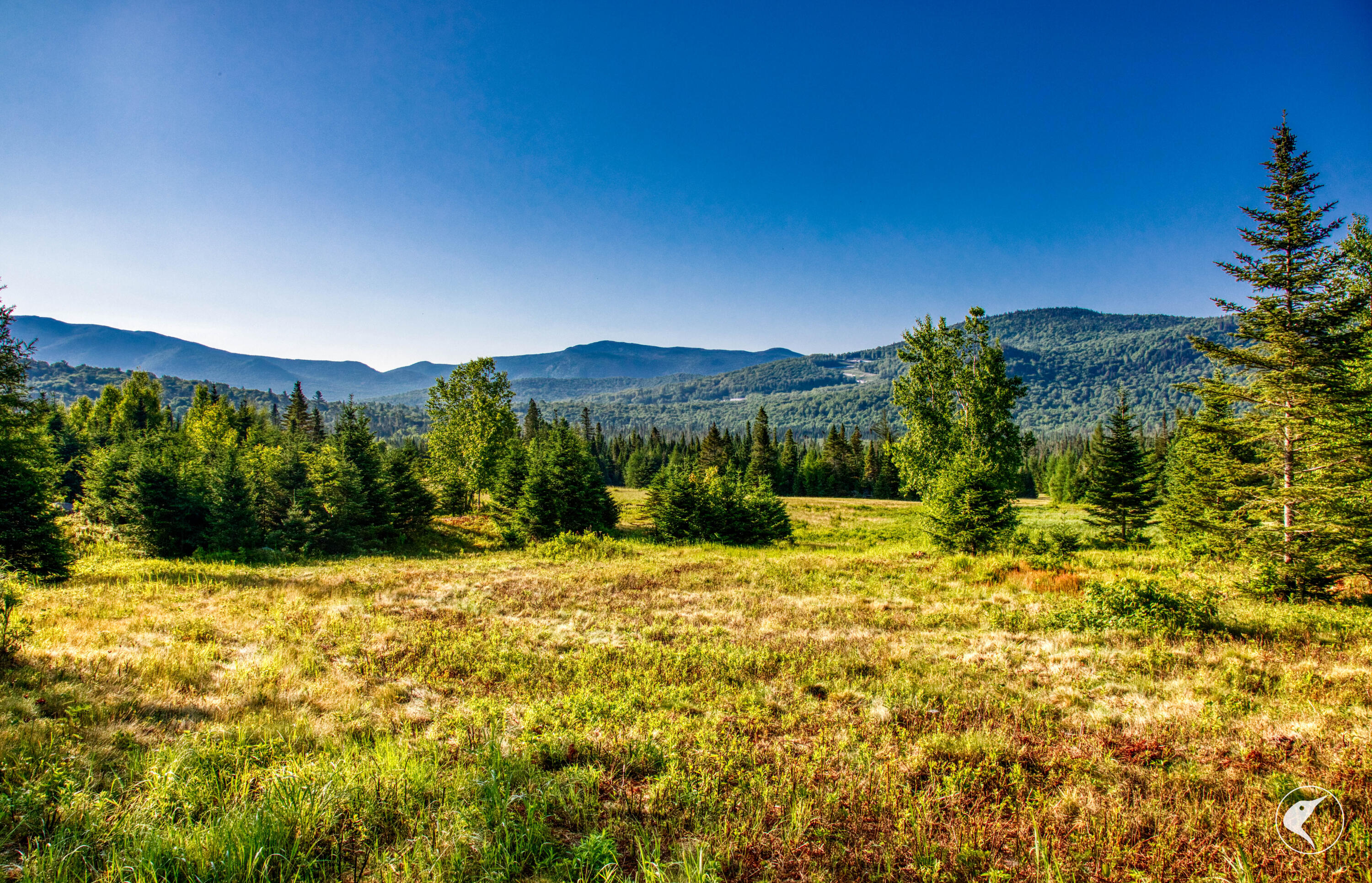 166 Far Horizon Drive Lake Placid NY 12946