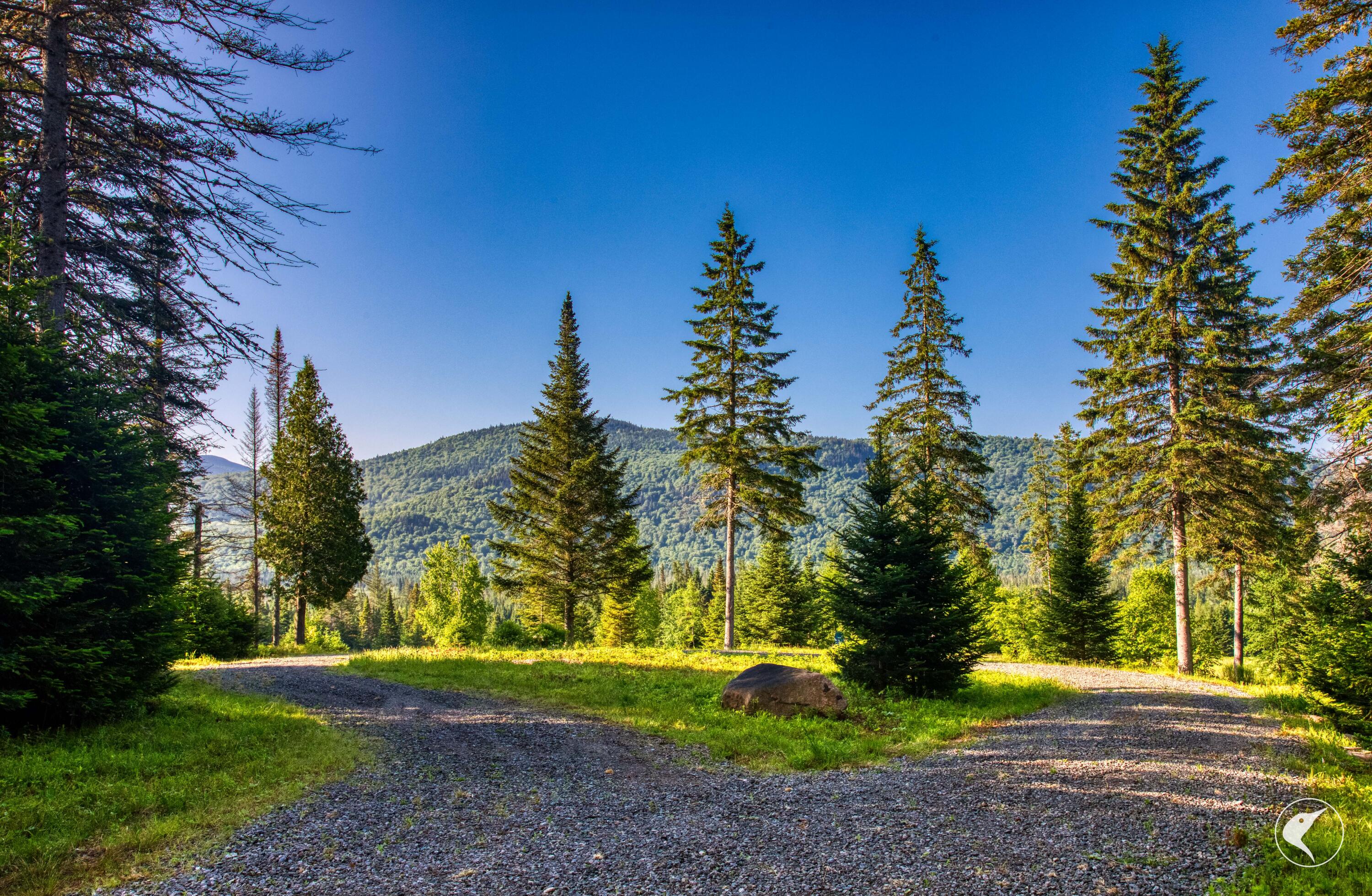 166 Far Horizon Drive Lake Placid NY 12946