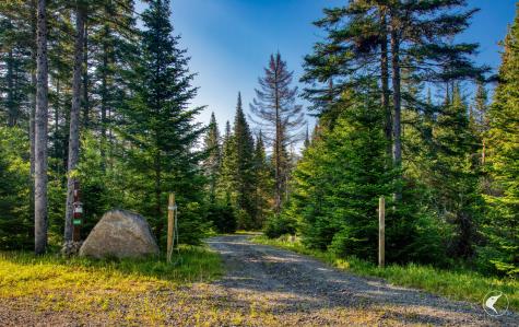 166 Far Horizon Drive Lake Placid NY 12946