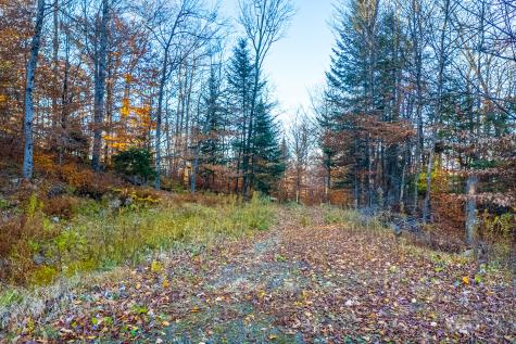 Lot 7 Hawk Ridge, Hawk Lane Saranac Lake NY 12983