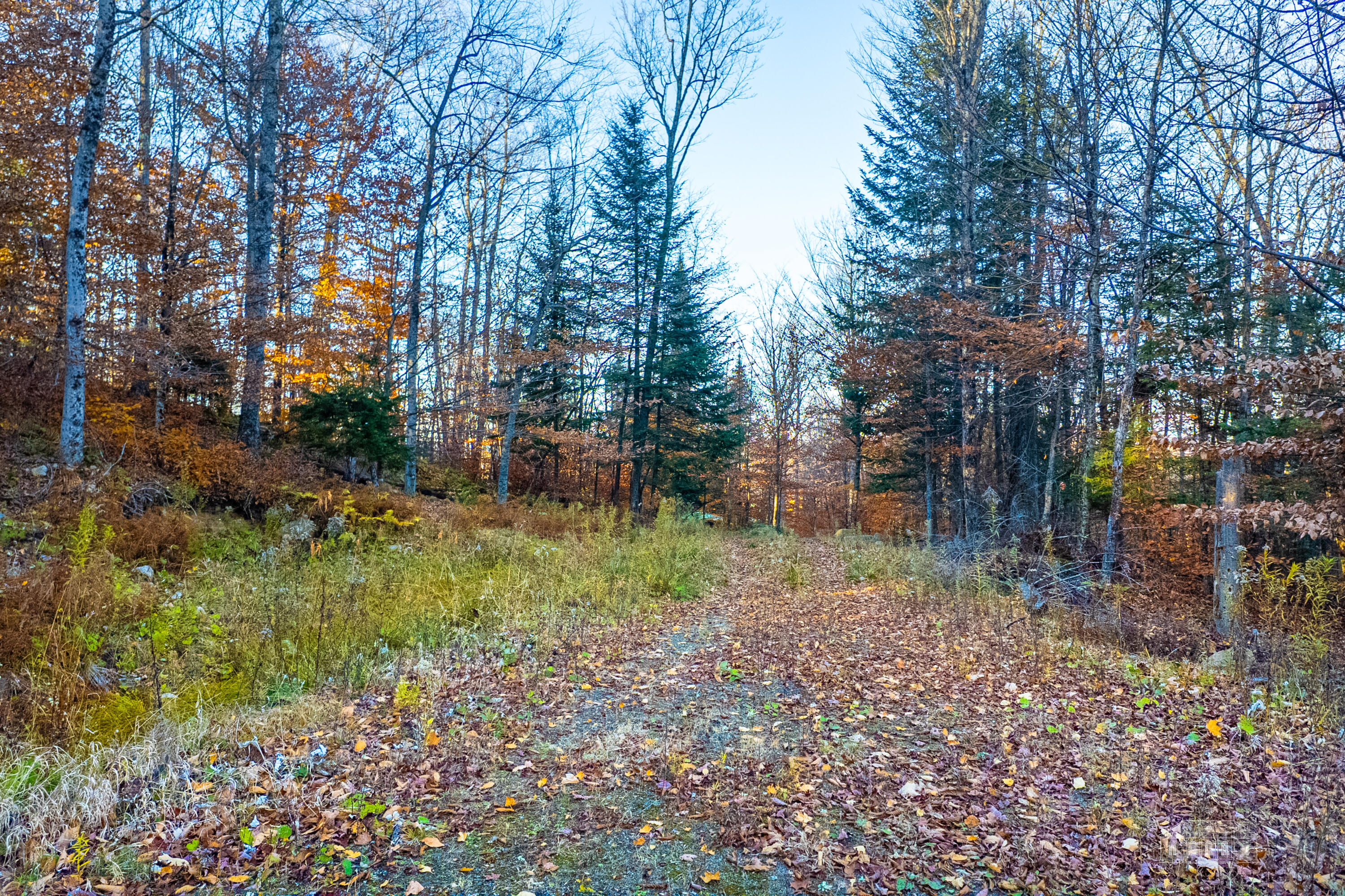Lot 7 Hawk Ridge, Hawk Lane Saranac Lake NY 12983