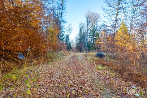 Lot 7 Hawk Ridge, Hawk Lane Saranac Lake NY 12983