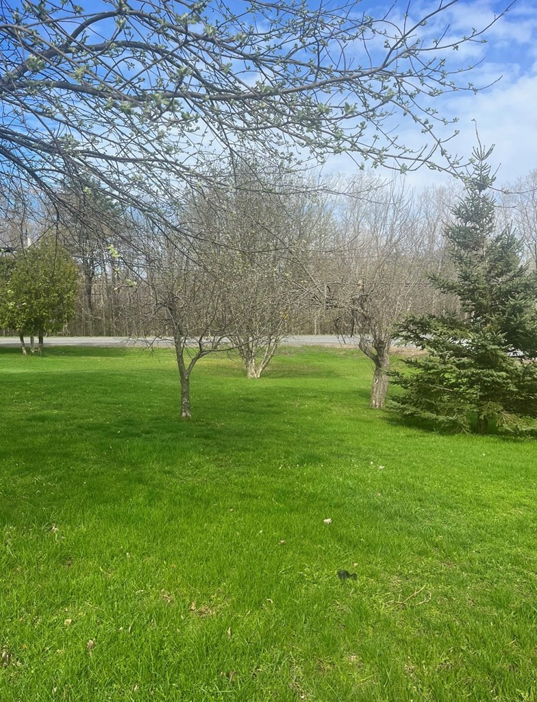 0 Sheila Avenue Plattsburgh NY 12901