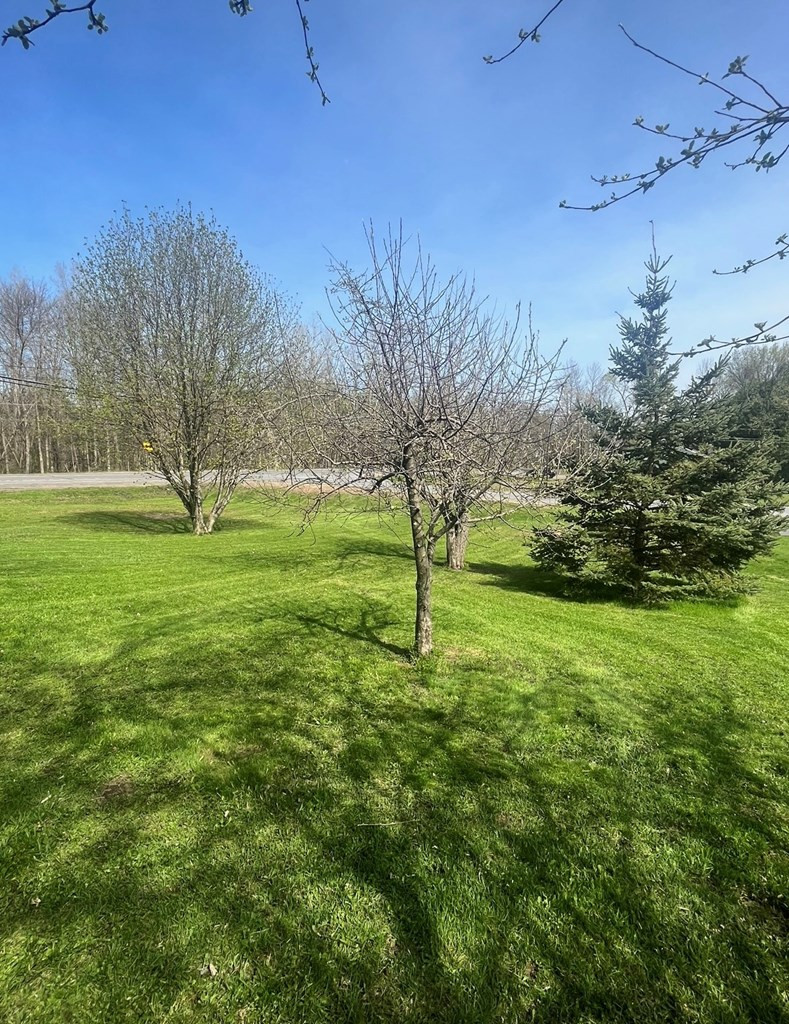 0 Sheila Avenue Plattsburgh NY 12901