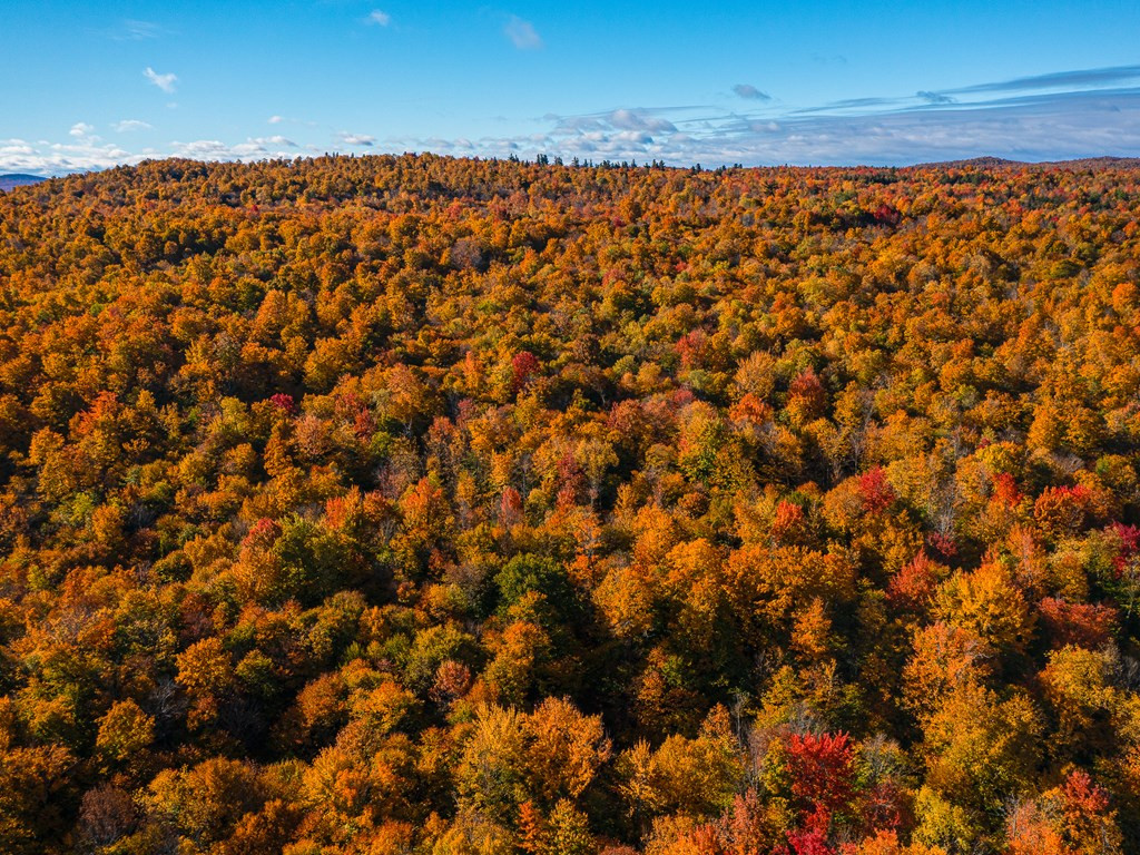 Lot #4 Raquette River Road Parishville NY 13676