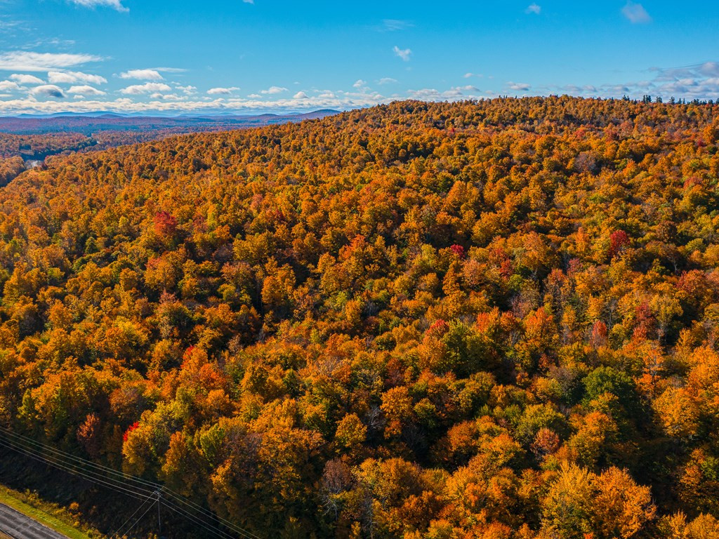 Lot #4 Raquette River Road Parishville NY 13676