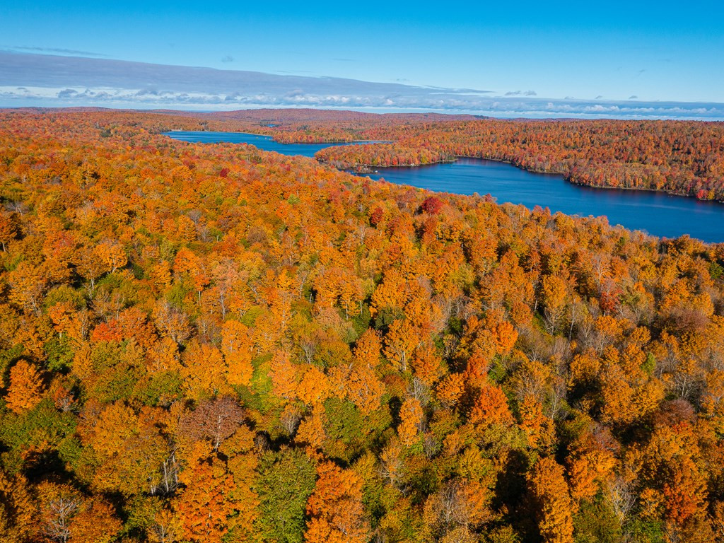 Lot #4 Raquette River Road Parishville NY 13676