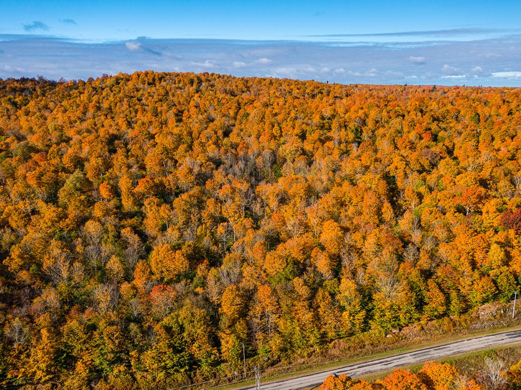 Lot #4 Raquette River Road Parishville NY 13676