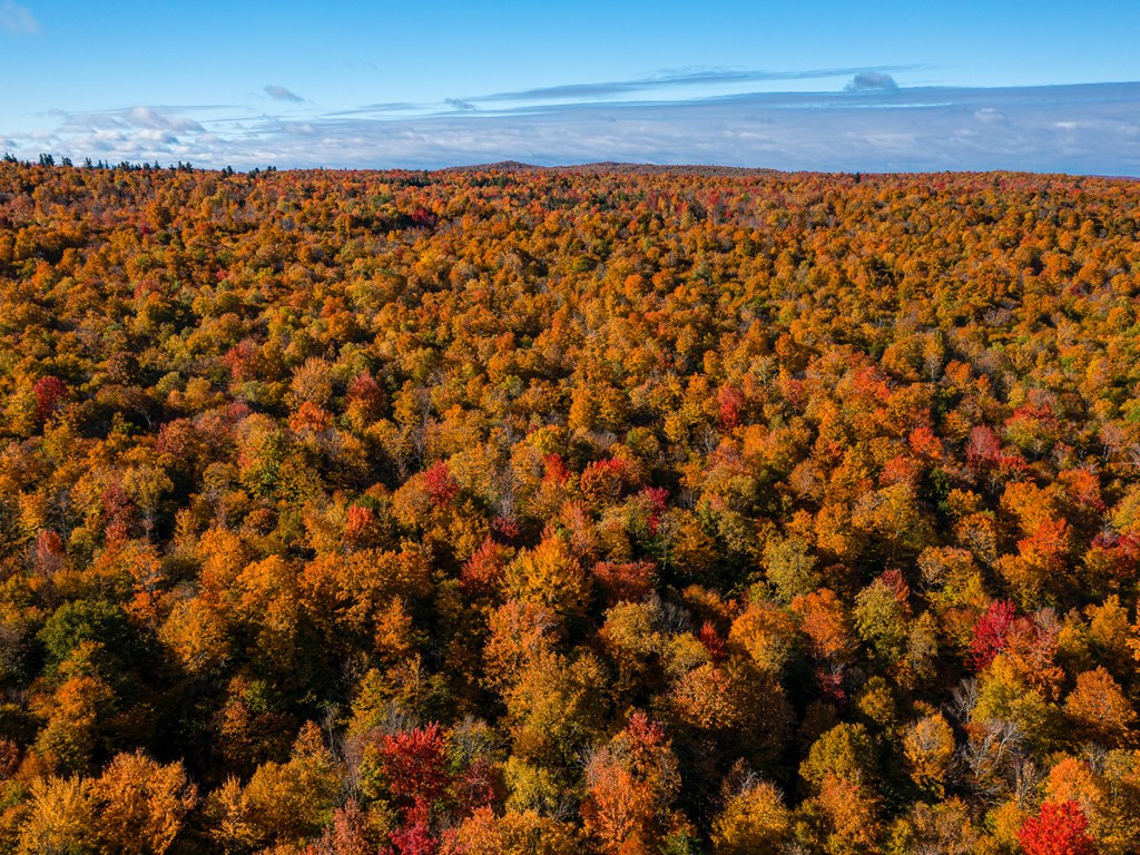 Lot #4 Raquette River Road Parishville NY 13676
