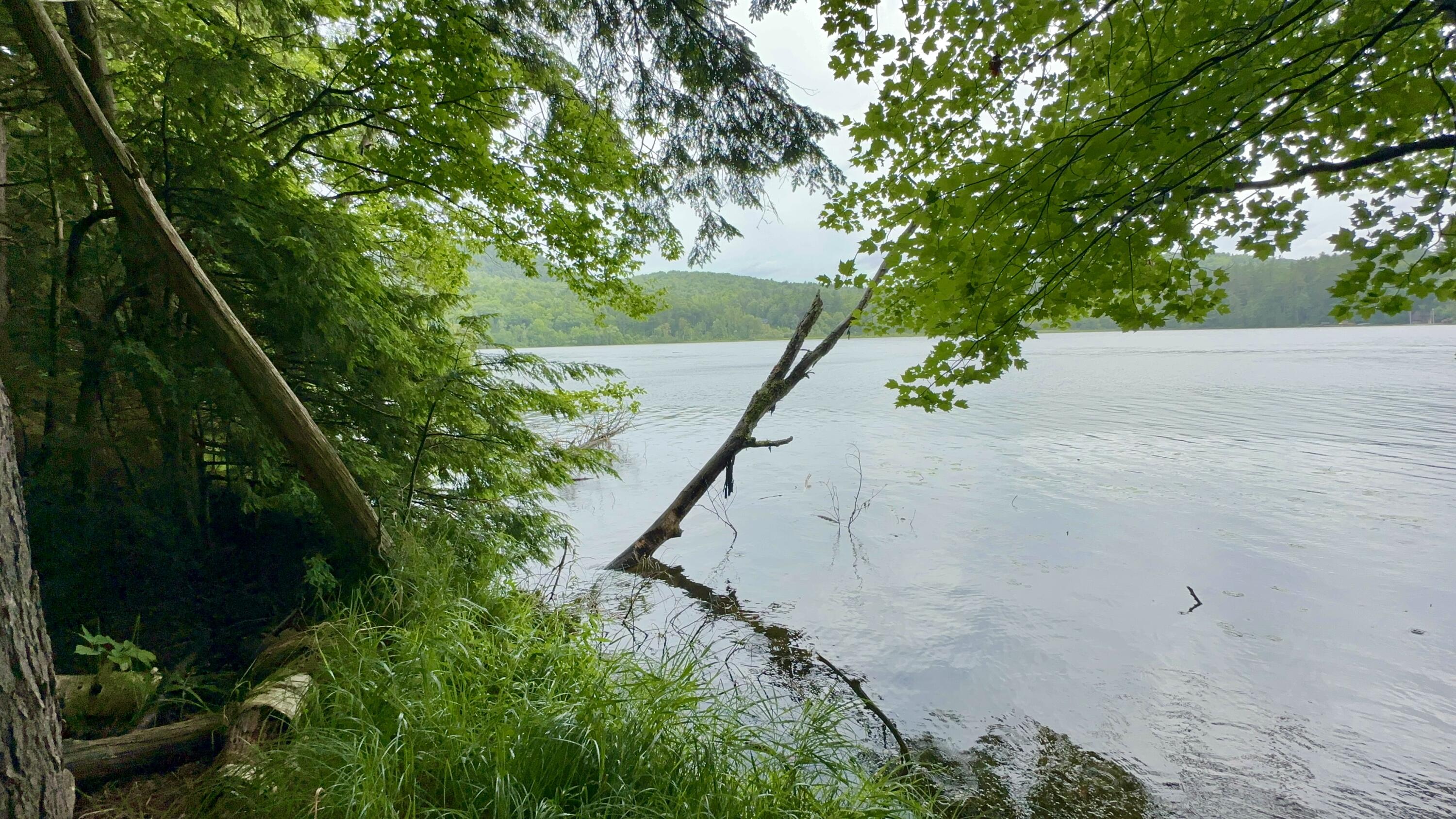 0 Beaver Way Willsboro NY 12996