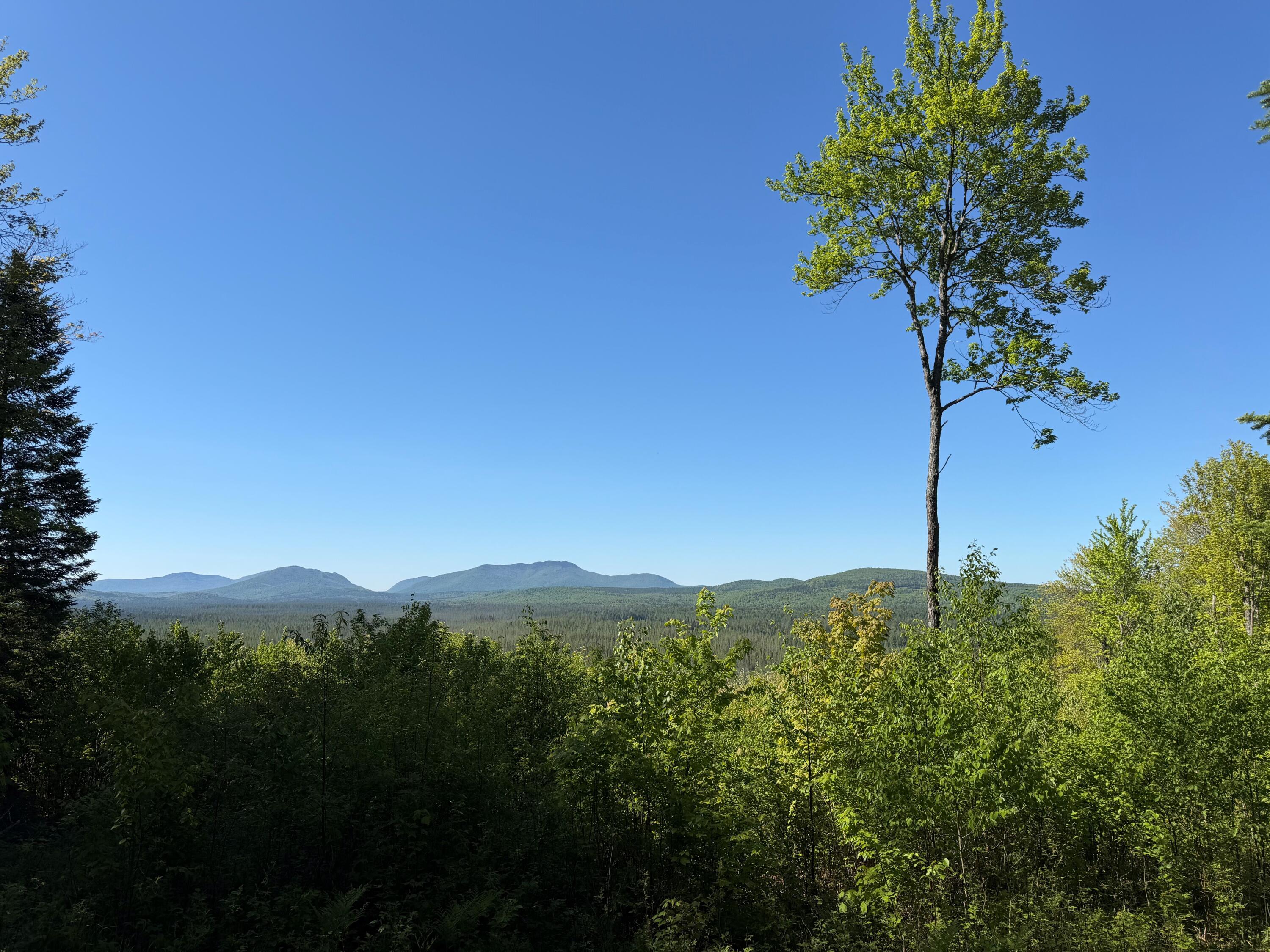 231 Adirondack Mountain Trail Malone NY 12953