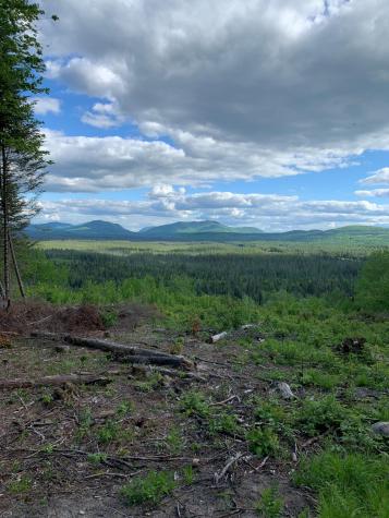 231 Adirondack Mountain Trail Malone NY 12953