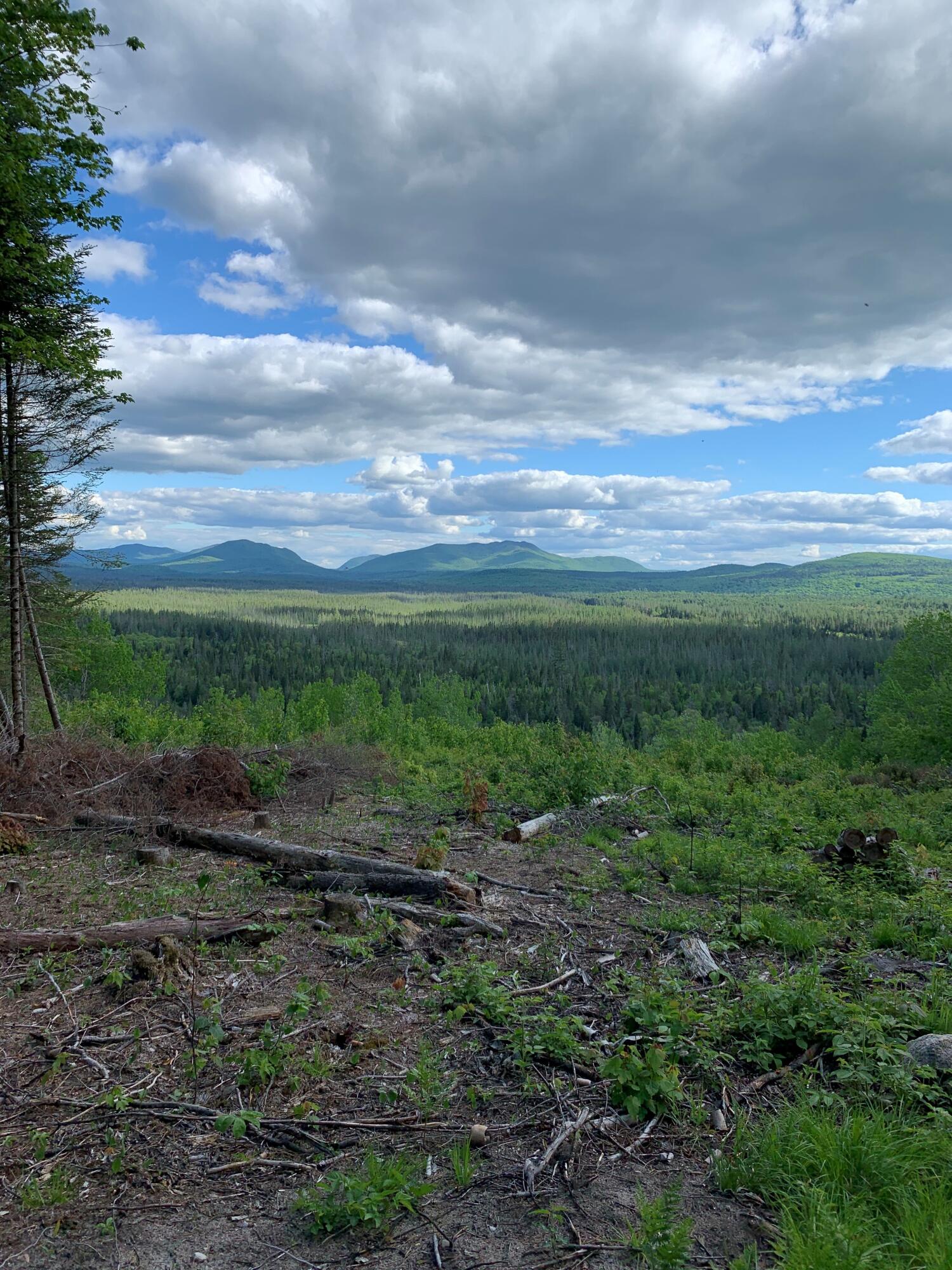 231 Adirondack Mountain Trail Malone NY 12953