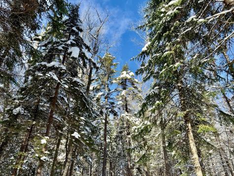 4814 Ny-374 Merrill NY 12955