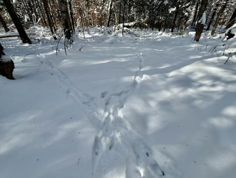 4814 Ny-374 Merrill NY 12955