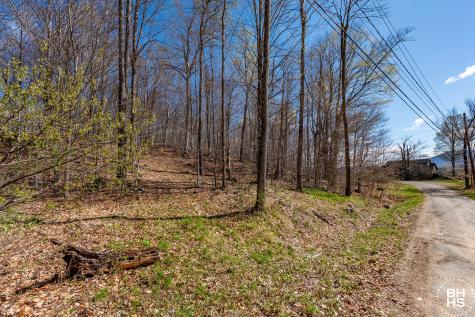 0 Panorama Lot 19 Drive Saranac Lake NY 12983
