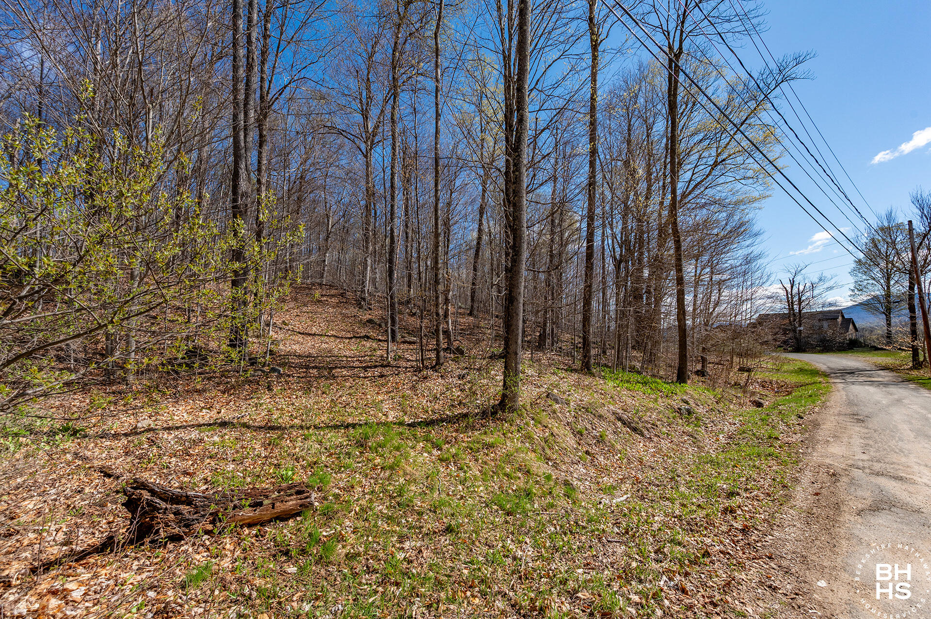 0 Panorama Lot 19 Drive Saranac Lake NY 12983