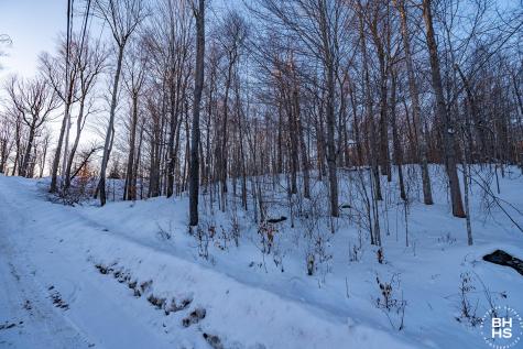 0 Panorama Lot 19 Drive Saranac Lake NY 12983
