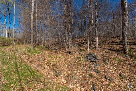 0 Panorama Lot 19 Drive Saranac Lake NY 12983