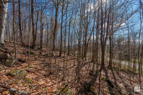 0 Panorama Lot 19 Drive Saranac Lake NY 12983