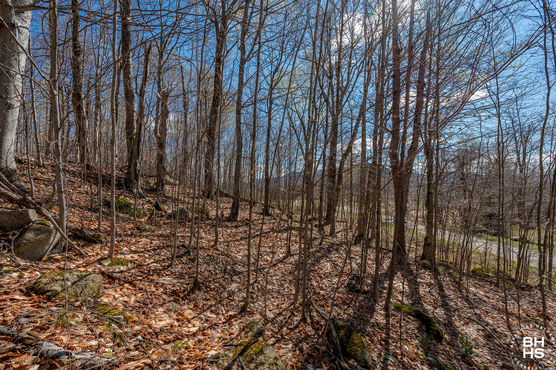 0 Panorama Lot 19 Drive Saranac Lake NY 12983