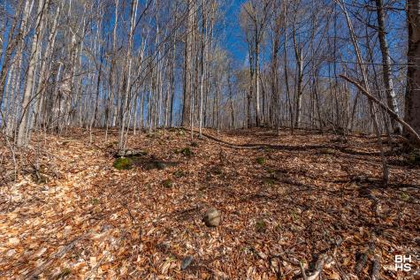 0 Panorama Lot 19 Drive Saranac Lake NY 12983