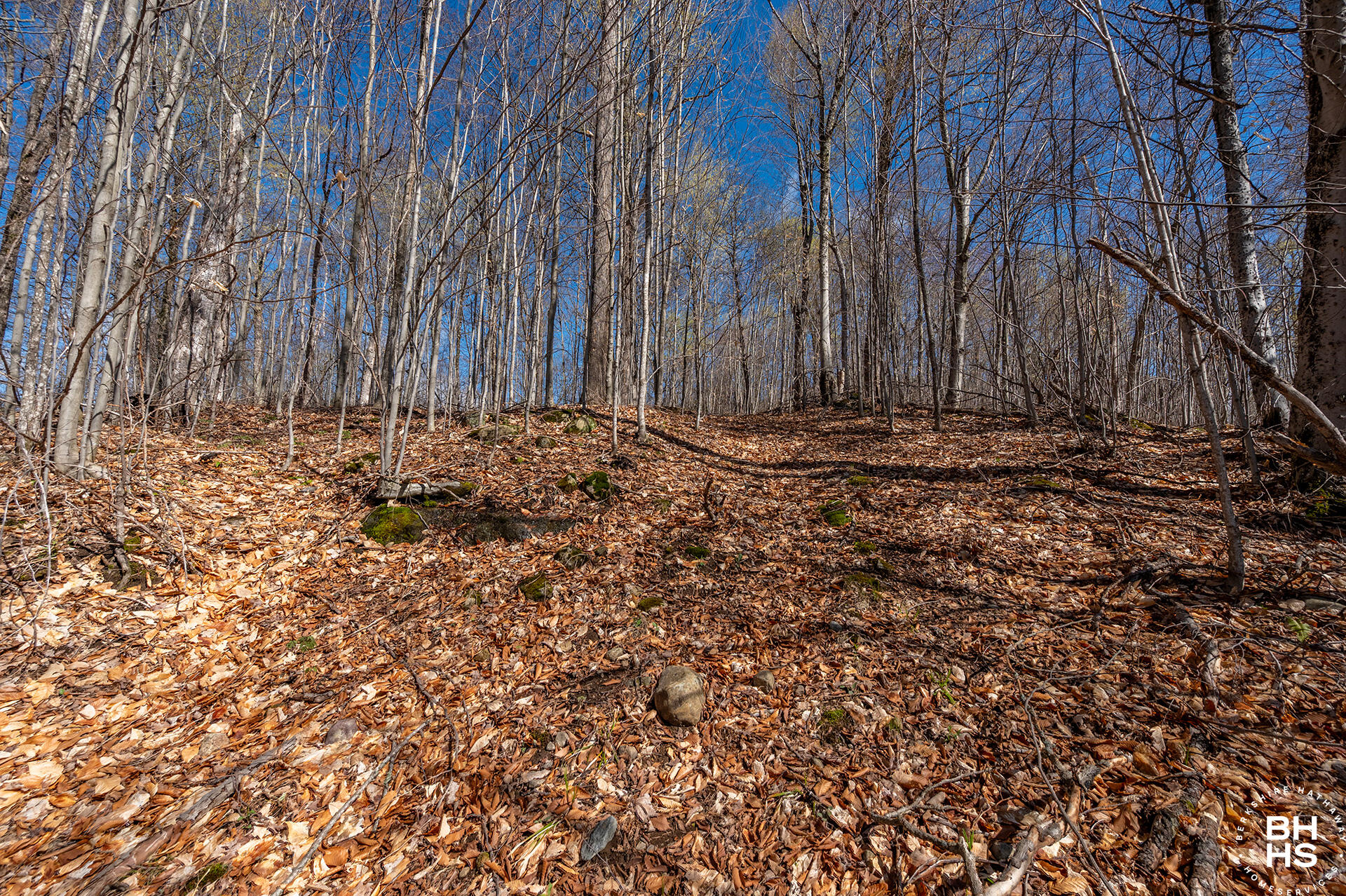 0 Panorama Lot 19 Drive Saranac Lake NY 12983