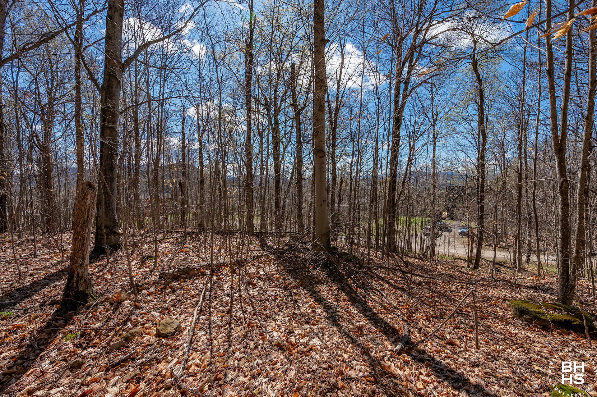 0 Panorama Lot 19 Drive Saranac Lake NY 12983
