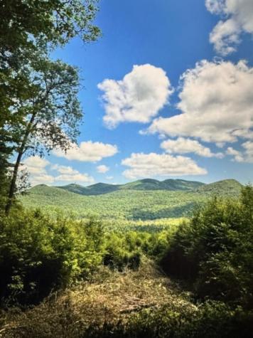 1189 County Route 26 Loon Lake NY 12989