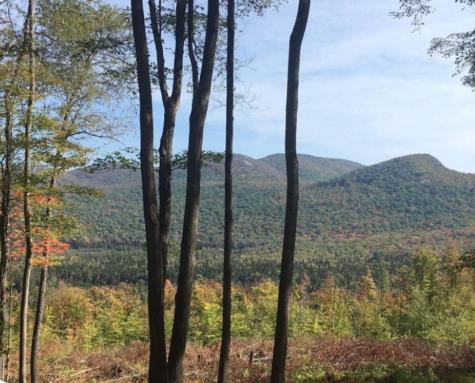 1189 County Route 26 Loon Lake NY 12989