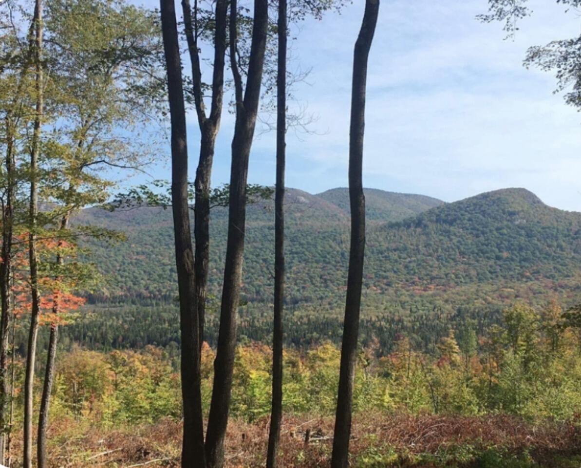 1189 County Route 26 Loon Lake NY 12989