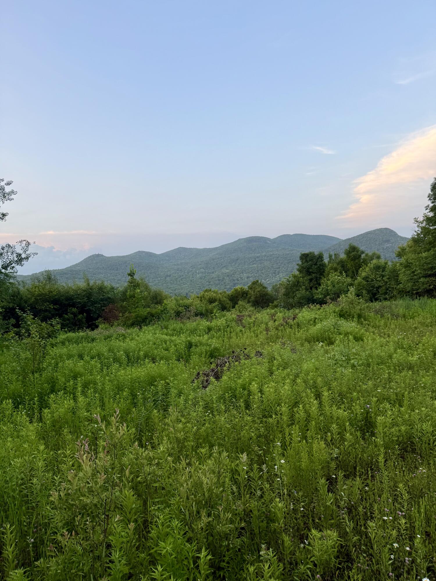 1189 County Route 26 Loon Lake NY 12989