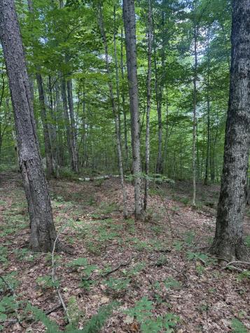 1189 County Route 26 Loon Lake NY 12989