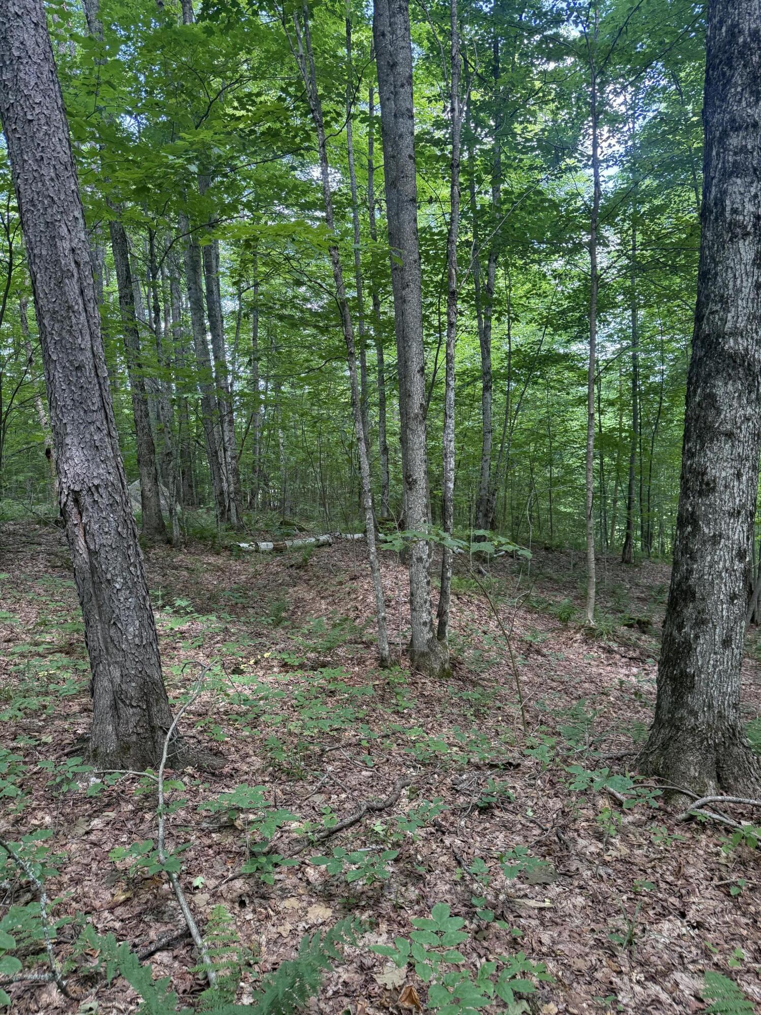 1189 County Route 26 Loon Lake NY 12989