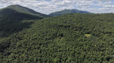 1189 County Route 26 Loon Lake NY 12989