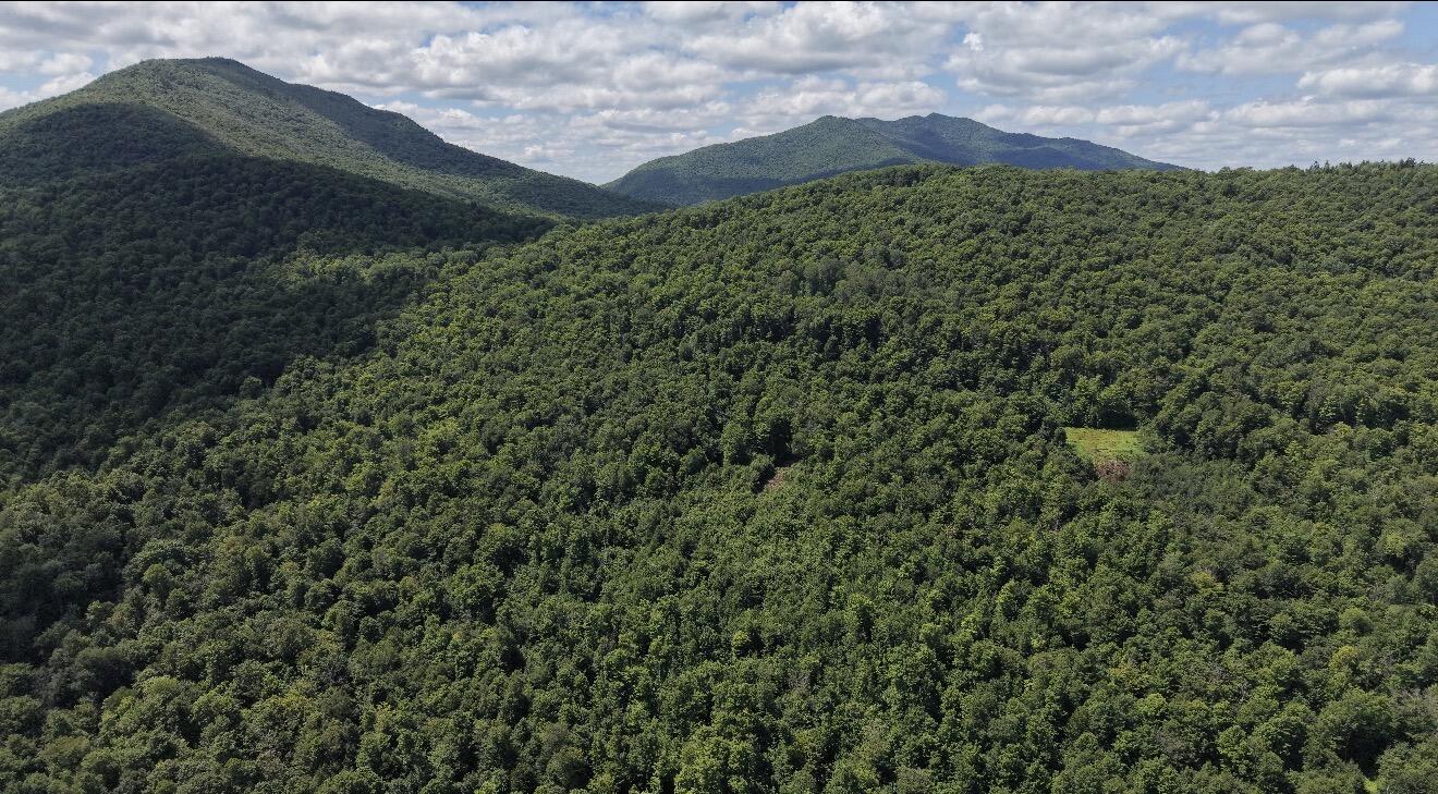 1189 County Route 26 Loon Lake NY 12989