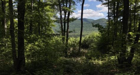 1189 County Route 26 Loon Lake NY 12989