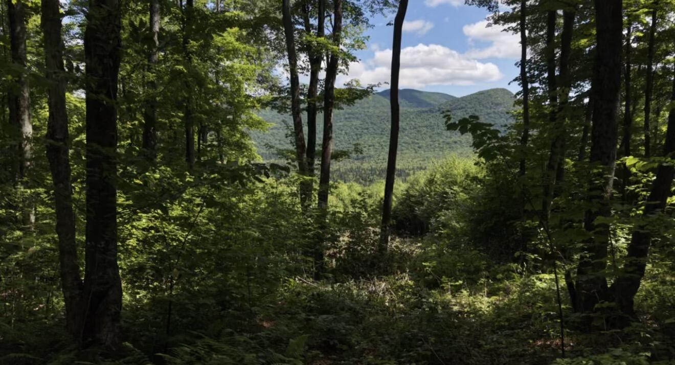 1189 County Route 26 Loon Lake NY 12989