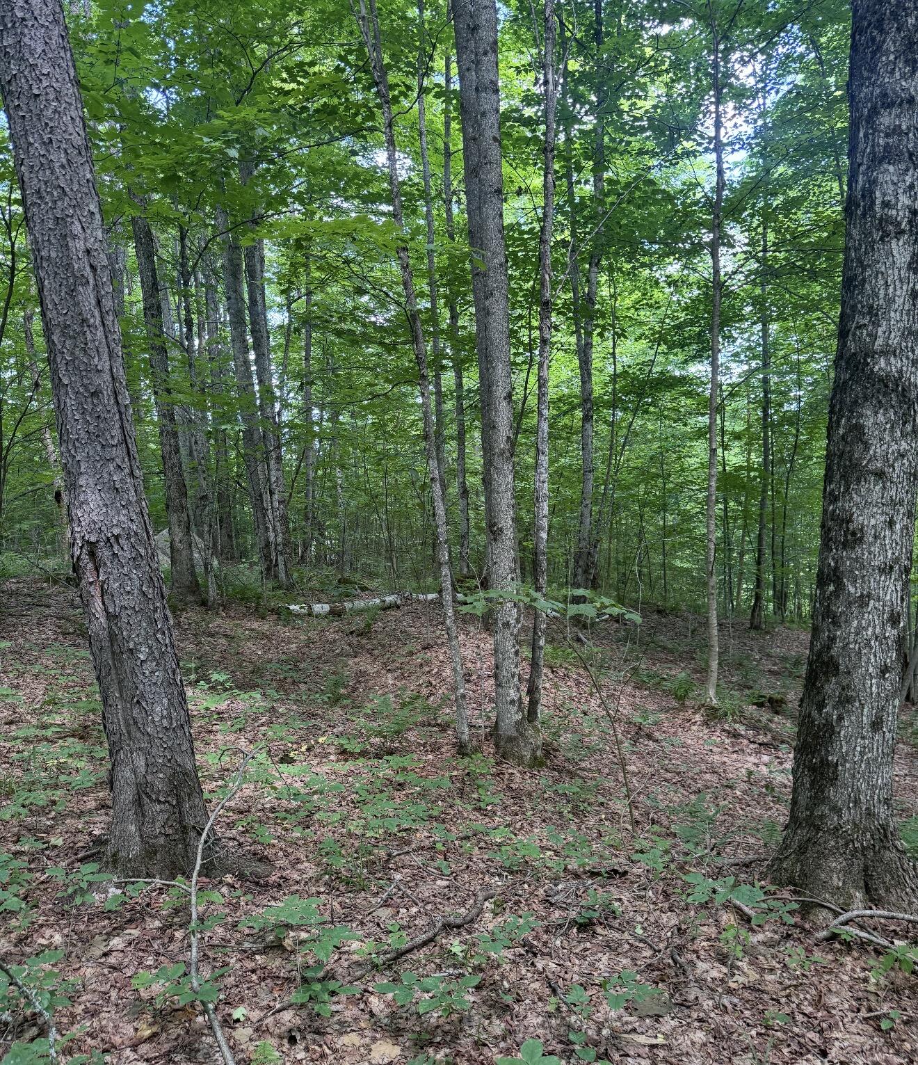1189 County Route 26 Loon Lake NY 12989
