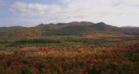 1189 County Route 26 Loon Lake NY 12989