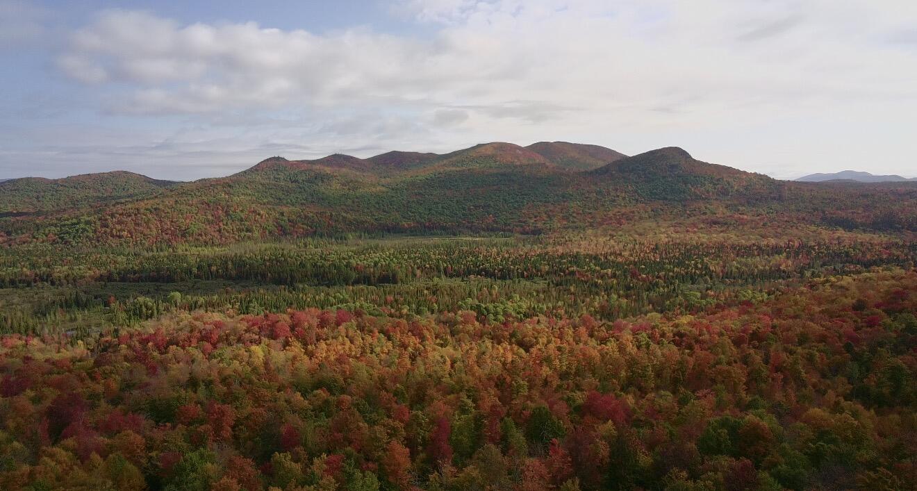 1189 County Route 26 Loon Lake NY 12989