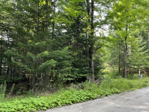 0 Grouse Creek Lot #2 Lake Placid NY 12946
