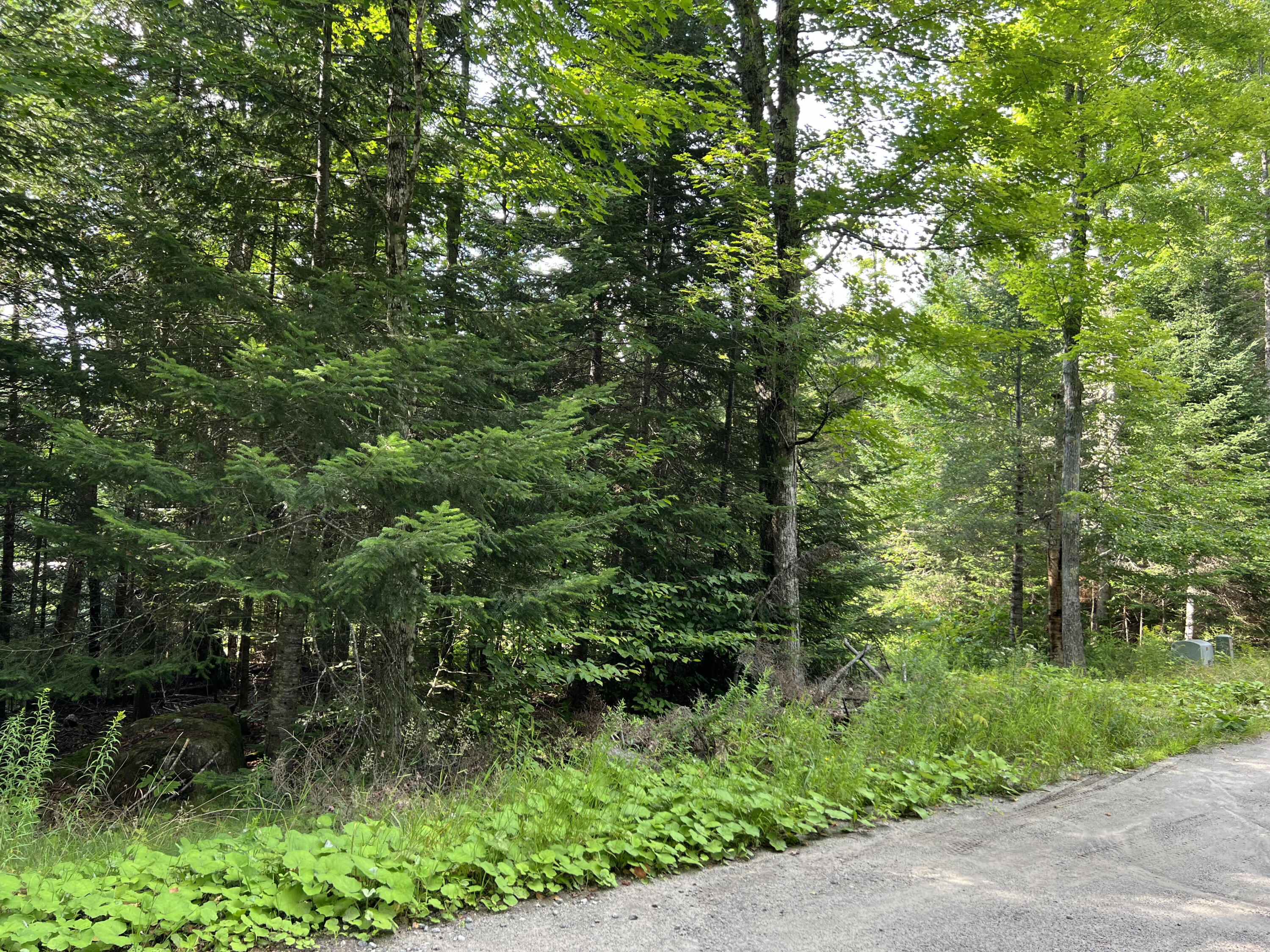 0 Grouse Creek Lot #2 Lake Placid NY 12946