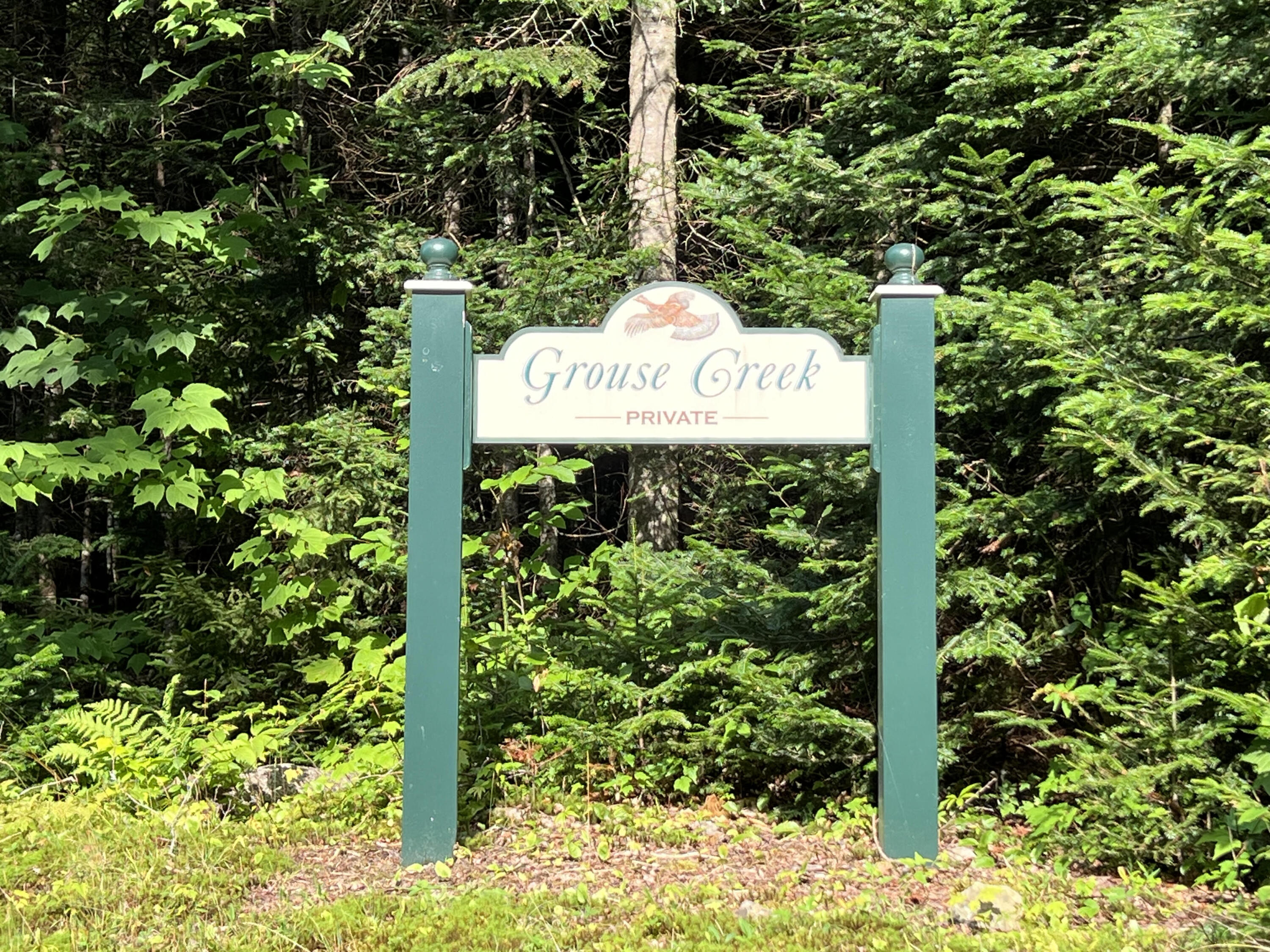 0 Grouse Creek Lot #2 Lake Placid NY 12946