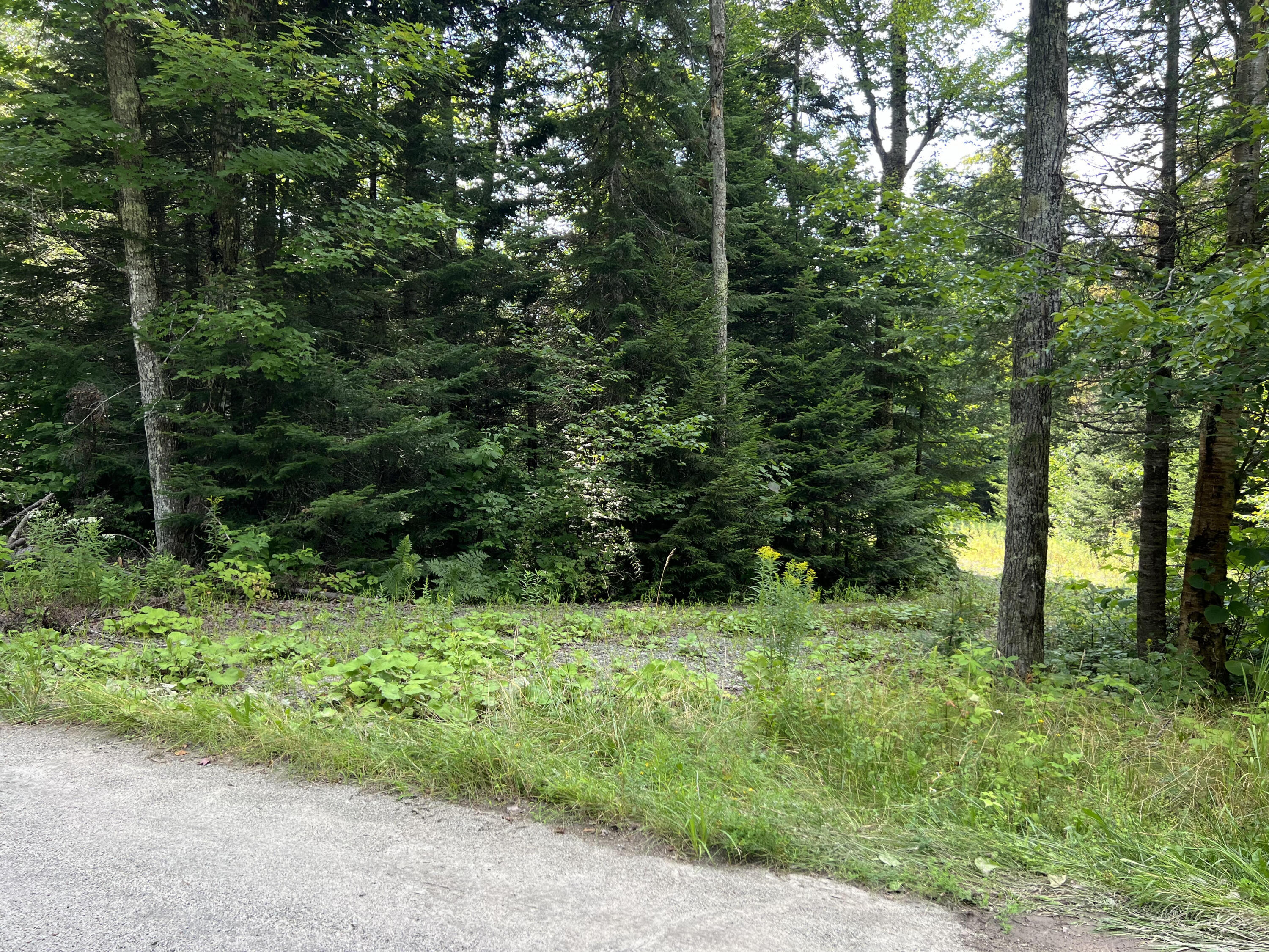 0 Grouse Creek Lot #2 Lake Placid NY 12946