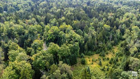 0 Grouse Creek Lot #2 Lake Placid NY 12946