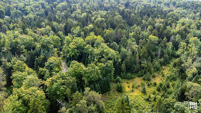 0 Grouse Creek Lot #2 Lake Placid NY 12946